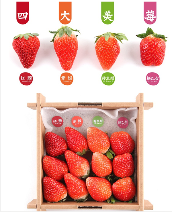 四大美莓-向揚(yáng)品牌